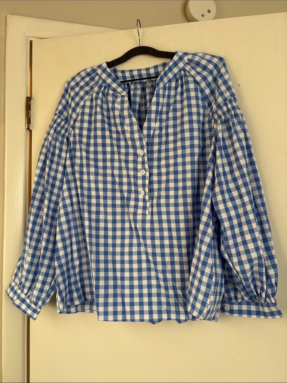 Blue Gingham Button-Front Women's Blouse